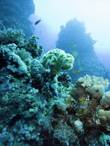 M0010590 1